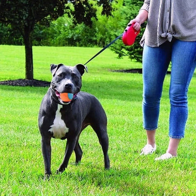 Scooby-Doo Squeaky Dog Balls