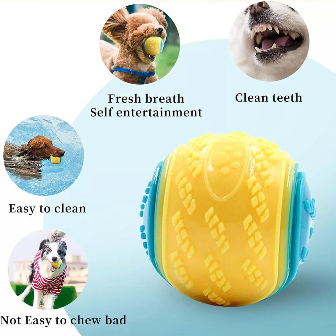Scooby-Doo Squeaky Dog Balls