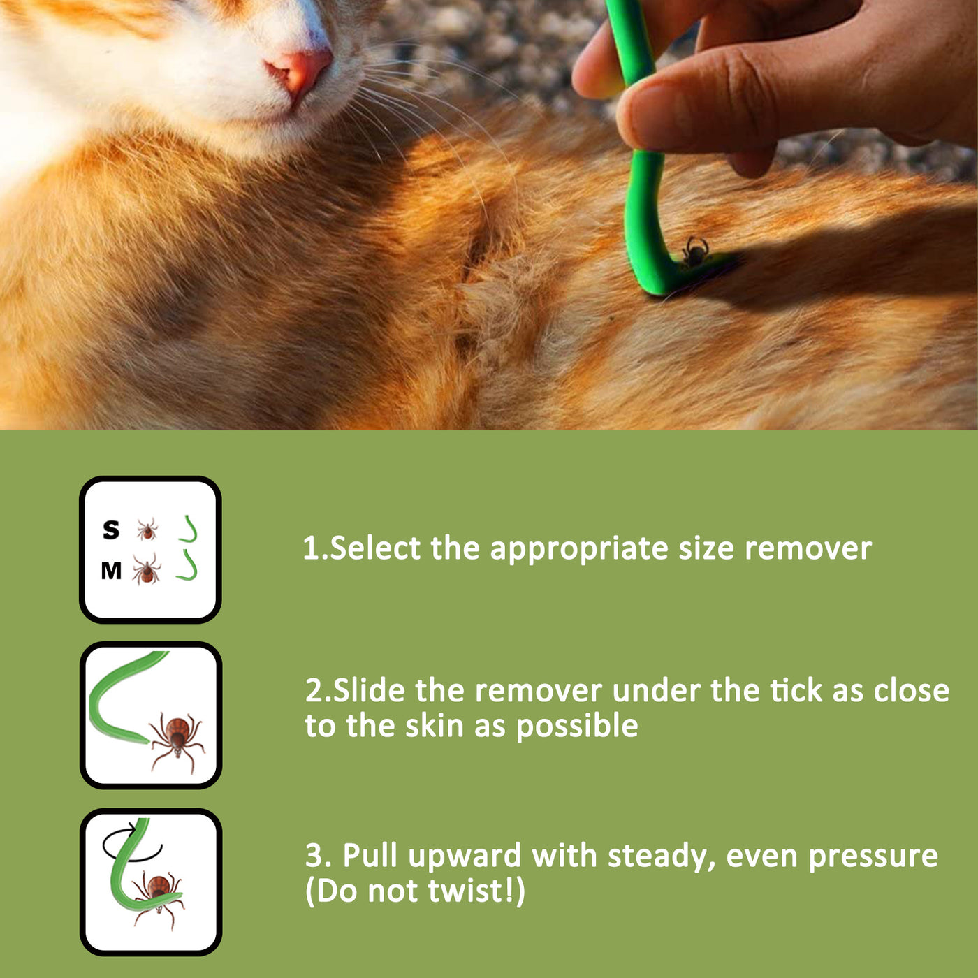 3-Piece Tick Remover Tool Set
