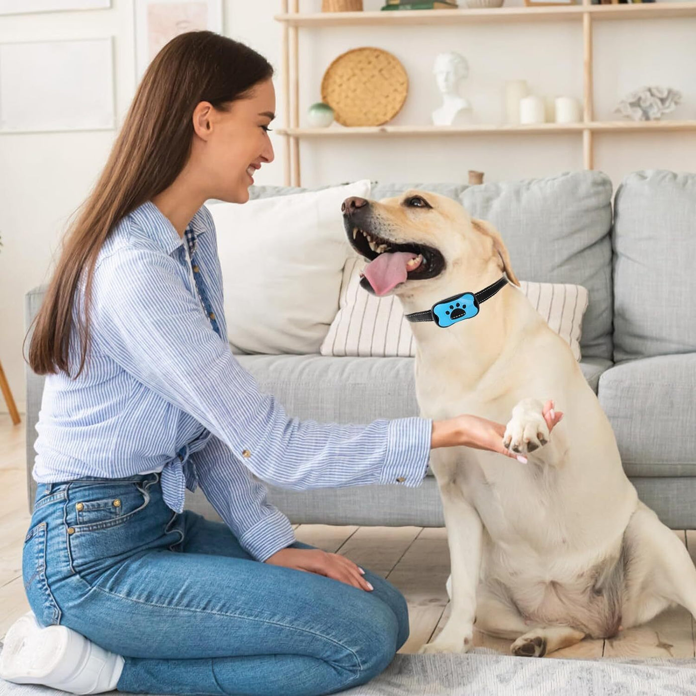 Anti-Bark Collar (Sound & Vibration)