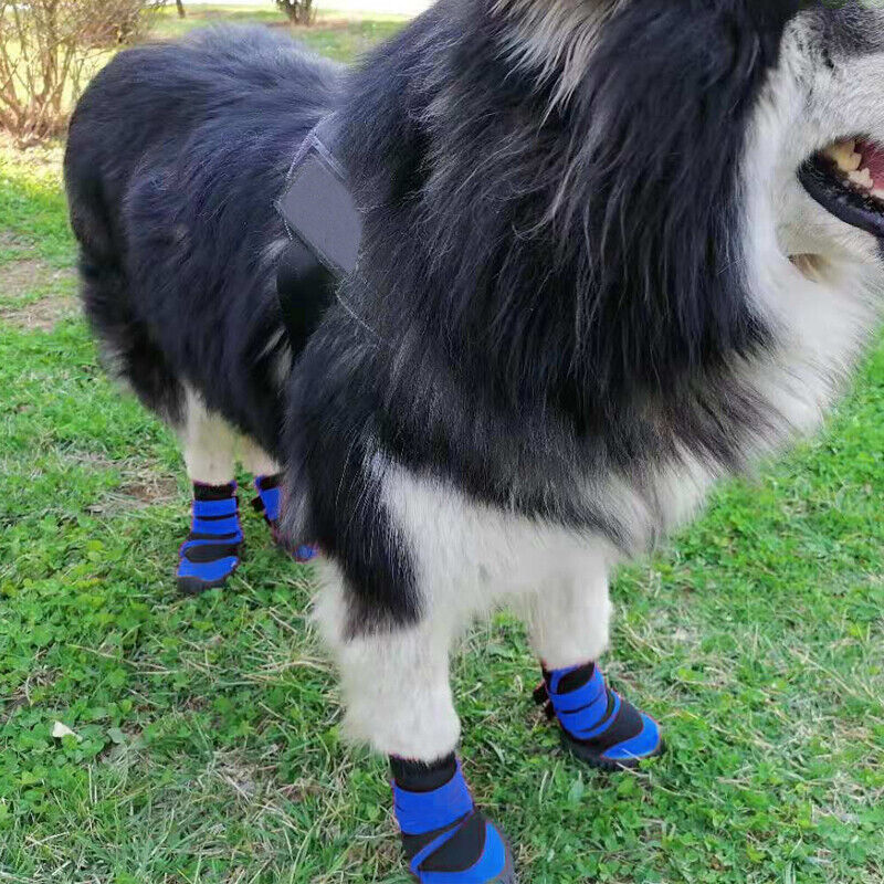 4x Anti-Slip Waterproof Pet Boots