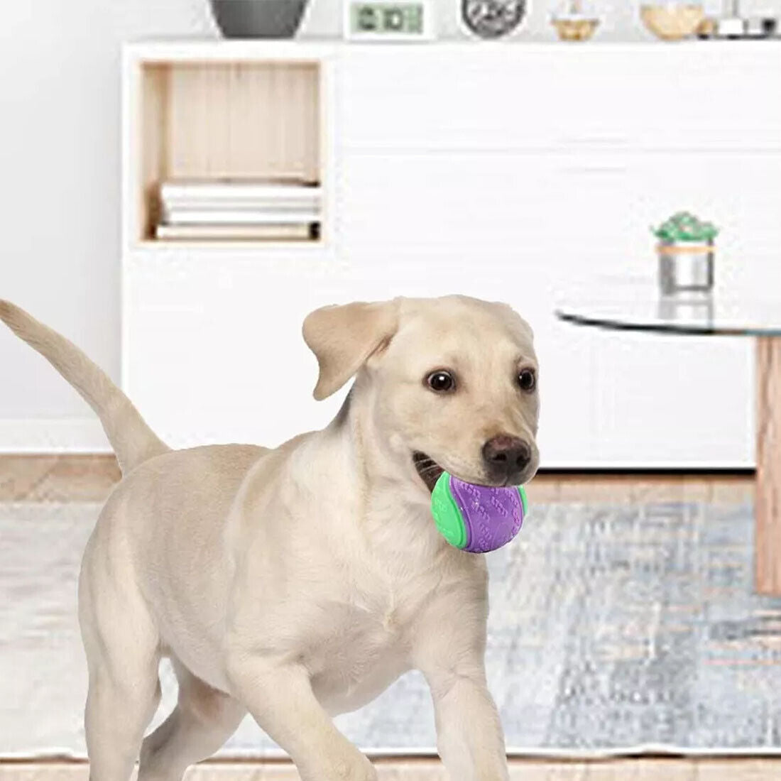 Scooby-Doo Squeaky Dog Balls