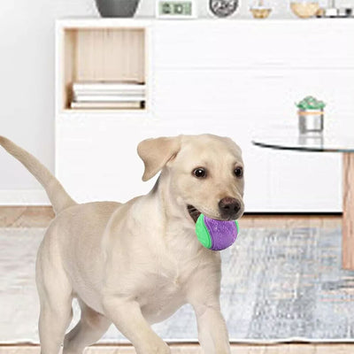 Scooby-Doo Squeaky Dog Balls